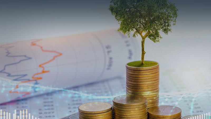 找is017025上海经销商